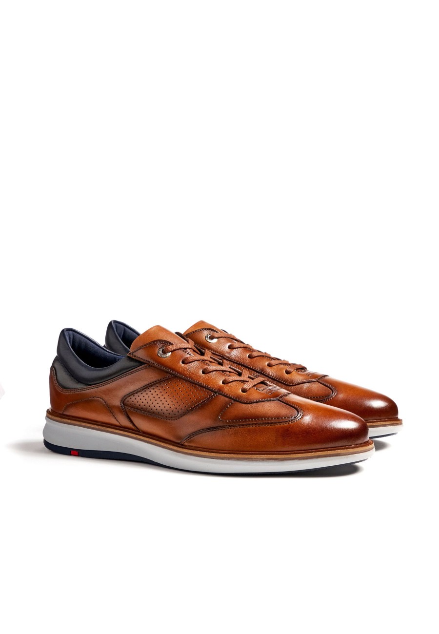 Men Lloyd X-Motion Shoes | Maxim