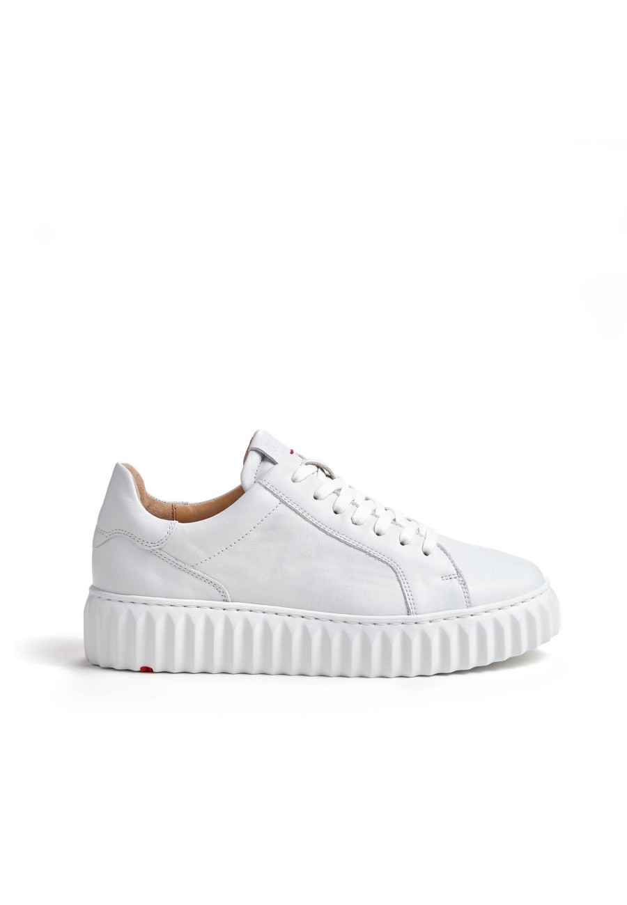 Women Lloyd Trainers | Sneaker