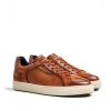 Men Lloyd X-Motion Shoes | Malaga