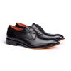 Men Lloyd Shoes | Parbat