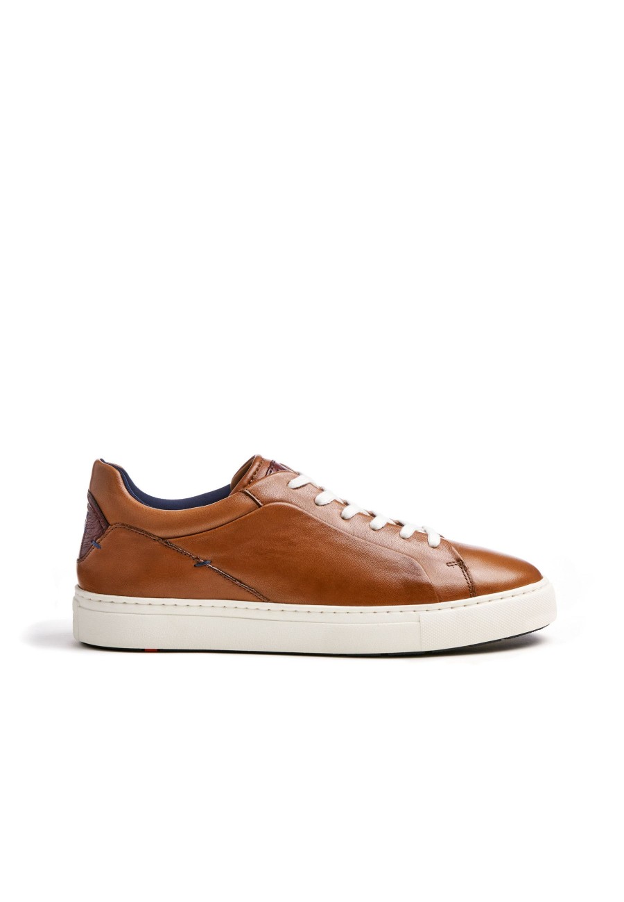 Men Lloyd X-Motion Shoes | Majuro