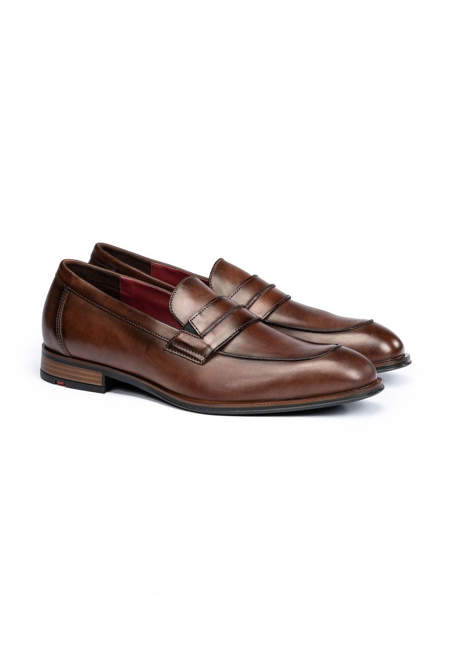 Men Lloyd Shoes | Sagres