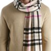 Men Lloyd Scarves/Kerchiefs | Scarf